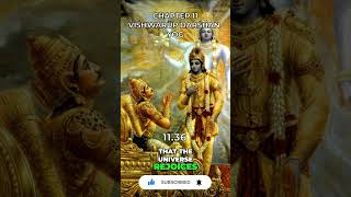 Bhagavad Gita Chapter 11 [upl. by Celik856]