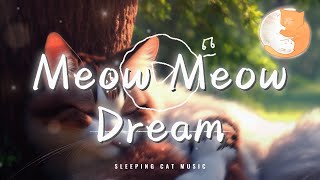 Meow Meow Dream『 By the window now Softest kitty purr 』【動態歌詞Lyrics】 [upl. by Triley]