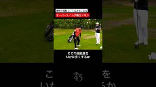 オーバースイングもスウェーも直せる回転ドリル 片山晋呉 golf ゴルフ shorts [upl. by Nivlen]