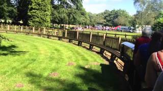 HD Worden Park Miniature Railway part 1 21st June 2014 [upl. by Faxen]