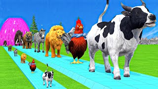 Paint amp Animals CowGorillaElephantGiraffeTigerLion Fountain Crossing Transformation Cartoon [upl. by Cassy]