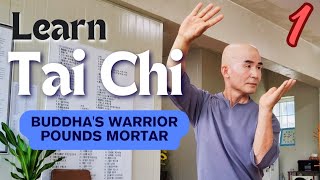 Taichi for Beginners 1  Buddhas Warrior Pounds Mortar  Chen Style Practical Method [upl. by Nirot]