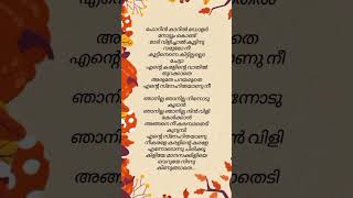 Karaleekaralinte karale 💖😍trending lyrics trendingshorts vineethsreenivasan songlyrics [upl. by Sosanna311]