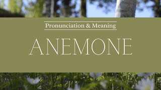 How to Pronounce Anemone  British Pronunciation amp Meaning [upl. by Hgieleak]