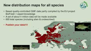 RIBES Final Conference Freshwater fish conservation  threats and priorities Jörg Freyhof [upl. by Adnuhsed]