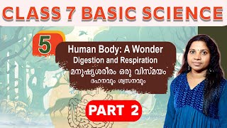 Class 7 Basic Science Chapter 5 Human Body A Wonder Digestion and Respiration Part 2 [upl. by Ilrahs444]