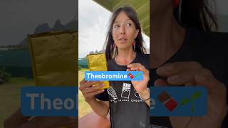 The 🐓 introduction🤣 Theobroma Cacao the food of the gods Theobromine smooth muscle relaxant [upl. by Sanderson]