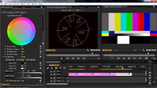 Premiere Pro and SpeedGrade Tutorial  Viewing The Vectorscope [upl. by Yznel896]