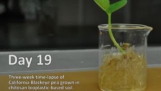 Bioplastics in action Time lapse video [upl. by Kippar]