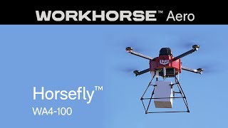 Horsefly™ Drone UAS  Workhorse Aero [upl. by Lydon10]