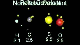 Enlaces iónico covalente polar y apolar [upl. by Turoff]