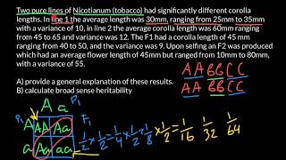 What is a pure line loss of heterozygosity inbreeding and hybrid [upl. by Faye]