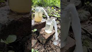 Making Amazing Dirty Water purification Filter 😱 Making Dirty Water Filter survival watercamping [upl. by Assennav2]