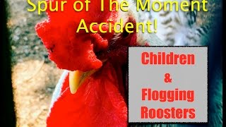 Spur of The Moment AccidentChildren amp Flogging Roosters [upl. by Florine]