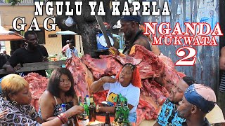 GAG 2024😅 NGULU YA KAPELA 2 NGANDA MUKWATA AVEC MIRMAMUKWATACHILELERIANHACARINE MPUTULA LIONNE [upl. by Eilyw479]