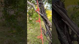 The Quickest Method for Tying a Butterfly Knot 🏕 Simple but Works Great knot shorts [upl. by Nroht]