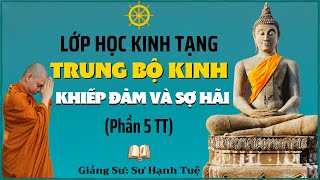 Trung Bộ Kinh  04Kinh Khiếp Đảm và Sợ Hãi Phần 5 TT  Sư Hạnh Tuệ  08102022 [upl. by Urien]