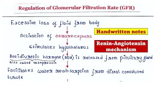 Regulation of glomerular filtration rate GFR [upl. by Hardi362]