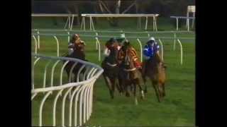 1992 Bonusprint Christmas Hurdle [upl. by Etteniuqna]