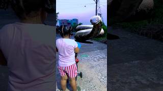 Maa ne misti ko 🐍 se bachaya 😱 shorts viral trending snake maa [upl. by Siraf]