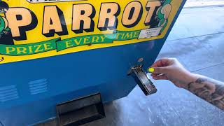 Gray hound JPM 1986 talking parrot prize machine at Joe’s Playland another one coins version￼ [upl. by Reh]