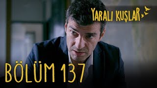 Yaralı Kuşlar 137 Bölüm [upl. by Maitland]