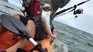 Kayak fishing Kaneohe Bay [upl. by Julianne]