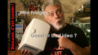 Mini Fridges Good or Bad Idea [upl. by Jacqueline]