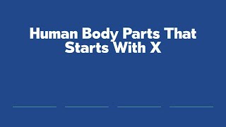 Human Body Parts That Starts With X [upl. by Pisarik]