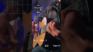 Cuatro Vientos by Danit fingerstyle guitar lesson 🍃🎶🪇 [upl. by Htims]