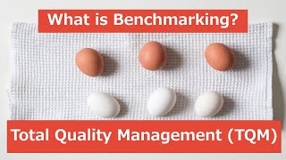 What is meant by Benchmarking UrduHindi [upl. by Eanrahc]