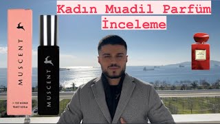 Kadın Muadil Parfüm İnceleme  Muscent Rouge Malachite [upl. by Siroled]