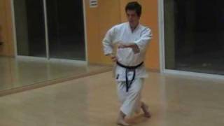 kata Tekki Sandan karate Do Shotokai José Cáceres [upl. by Nochur]