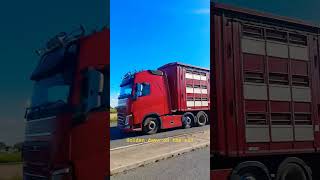 trucking on a lively A17 Lincolnshire day truckspotting [upl. by Iridis]