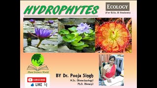 Hydrophytes Hydrophytic Plants [upl. by Seften840]