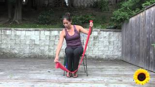 Seated Theraband Exercise for Seniors [upl. by Birdie]