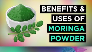 Moringa Powder Benefits and Uses [upl. by Amal]