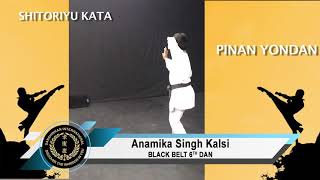 Shito Ryu Kata Pinan Yondan [upl. by Akirea]