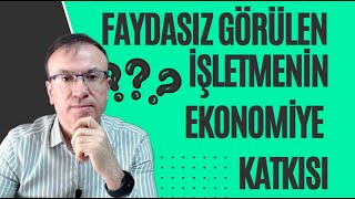 FAYDASIZ GÖRÜLEN İŞLETMENİN EKONOMİYE KATKISI [upl. by Evers]