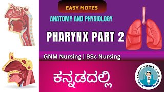 Anatomy And Physiology Of Pharynx Part 2  Respiratory System  Kannada Nursing Classes [upl. by Thessa]