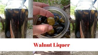 Walnut liqueur simple recipe [upl. by Pogah]