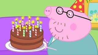 Peppa Pig Nederlands  Papas verjaardag  Tekenfilms voor kinderen [upl. by Orelu]