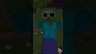 minecraft minecraftmemes memes herobrine minecraftanimation anime phonk [upl. by Bonina]