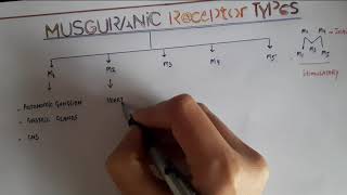 TYPES OF MUSCARINIC RECEPTORS WITH MNEMONIC [upl. by Rossing]