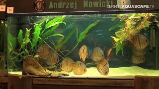 6th Silesian Aquarium Weekend 2014 pt4  Aquariums in the central and right part of the hall [upl. by Ailemac]