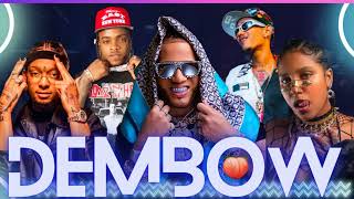 DEMBOW MIX VOL 14🎶 LOS DEMBOW MAS PEGADO DEL MUNDO 🌍 2023 🎤 DJ ZAPZAP [upl. by Skerl941]