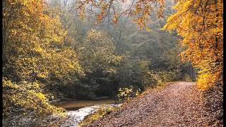 Martha Argerich  1965 Chopin Competition  Best Mazurka Prizewmv [upl. by Solenne]