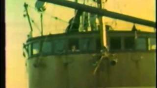 Hull Fishing Trawler on a fishing expedition off the coast of Norway [upl. by Waki]