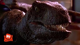 Jurassic Park 1993  Raptors in the Kitchen Scene  Movieclips [upl. by Nimajneb497]