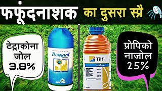 Domark vs Tilt  Tetraconazole 38 vs Propiconazole 25  Fungicide [upl. by Riesman]